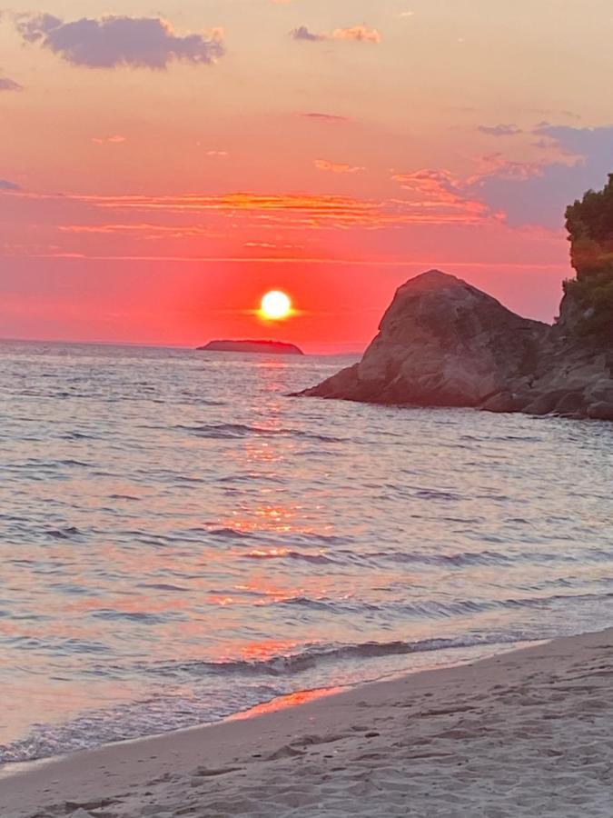 White Sand Villa Koviou Beach Nikiti Sithonia Екстер'єр фото