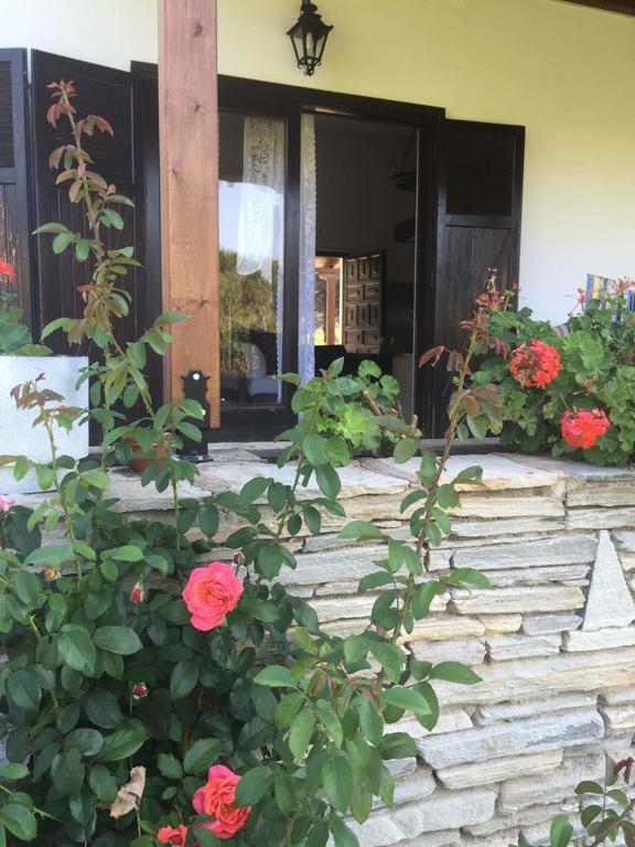 White Sand Villa Koviou Beach Nikiti Sithonia Екстер'єр фото